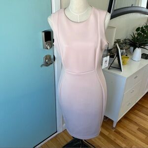 Calvin Klein Midi Dress | Size 10